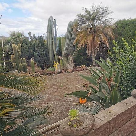 Los Cactus Santa Cruz de Tenerife Exteriör bild