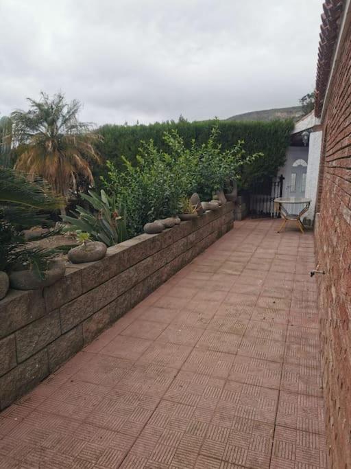 Los Cactus Santa Cruz de Tenerife Exteriör bild